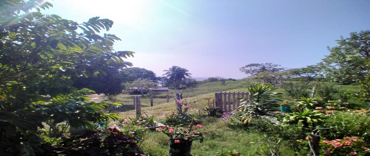 Foto de terreno habitacional en venta en jesus arellano , cabo rojo (novillos) [ganadera], tampico alto, veracruz de ignacio de la llave, 28174236 No. 04